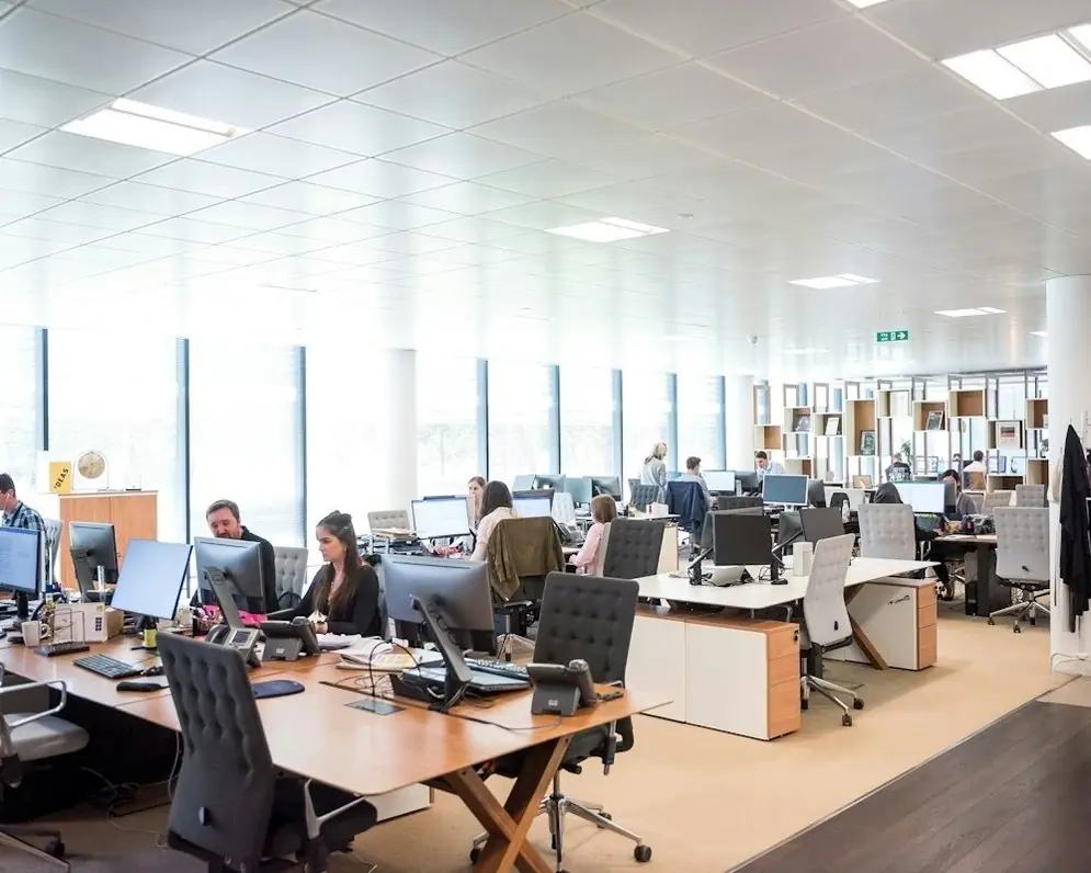 An open plan office with rows of desks